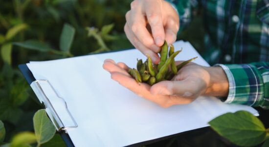 Perícia Ambiental em Três Pontas